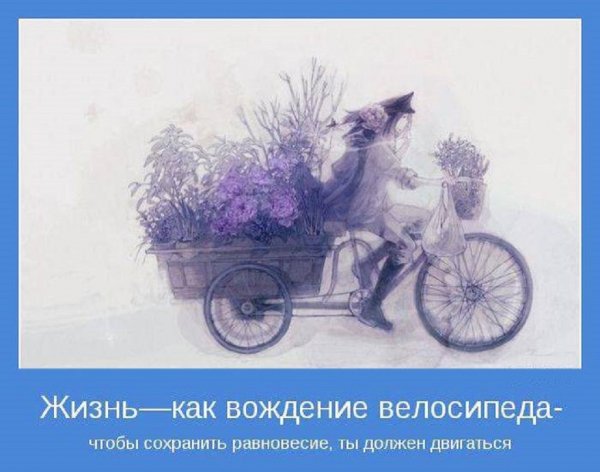 Жизнь, как вождение велосипеда...