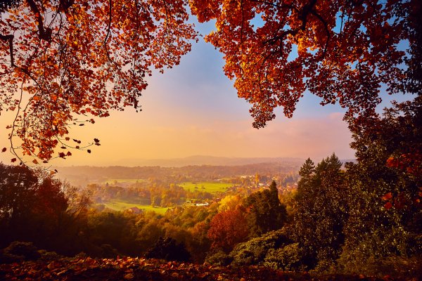 osen-les-listia-derevia-park-colorful-forest-landscape-par-3