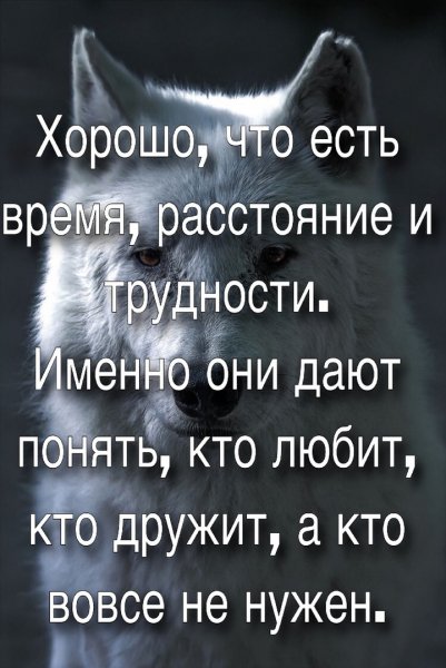 IMG 20191119 233513