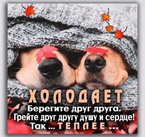 IMG-f7e6568dfefca38b05d43410f36f59fd-V