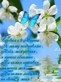 file_28268007