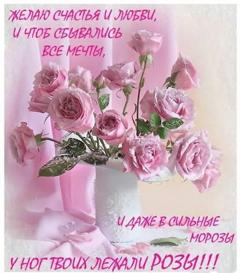 ZhELAJu SChASTJA