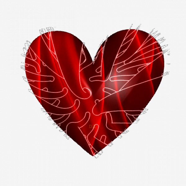 Сердце и любовь