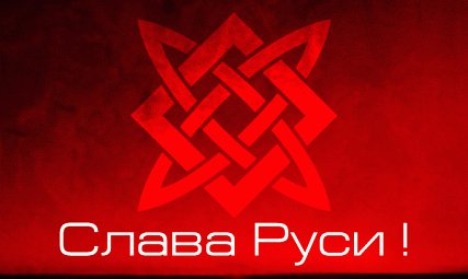 0 5a337 d714196 XL