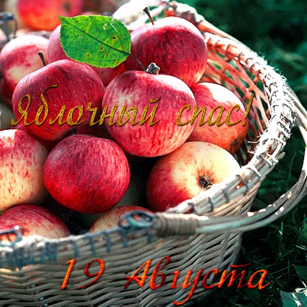 8da18119d55c1c14cf681698f560090f