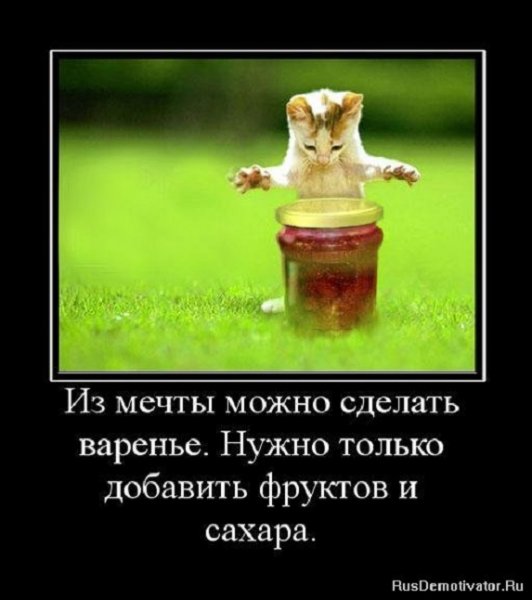 Из мечты...