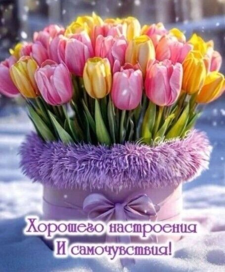 IMG 20250223 120739