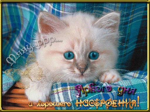 ochen-skuchayu-po-tebe