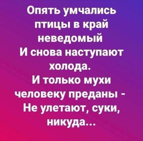 IMG 20251213 115037 689