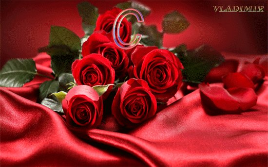 file_45673923