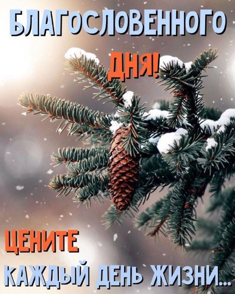 file_95593054