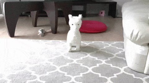 05c9a37a8cd290b2bb9cc801d5d64a8d00d3cbe3