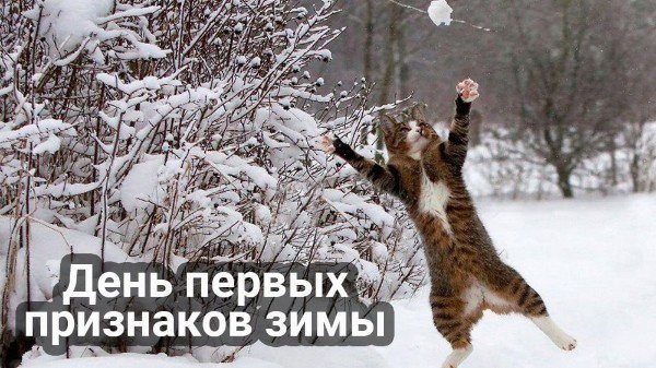 file_95007148