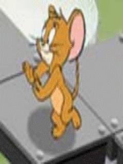 Tom And Jerry Walking House