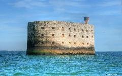Fort bauar240x320s40-