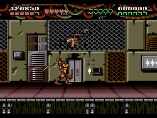 Battletoads and Double Dragon