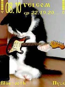 animal-music-by