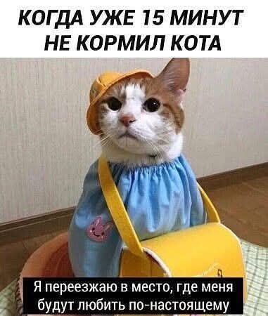 FB IMG 1777725206906