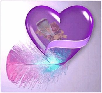 - Find &amp; Share on GIPHY