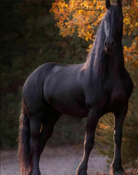 Screenshot 2021-10-29-23-28-07