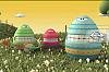 Egg Concert v.1.0.1-club-se.ru Android X