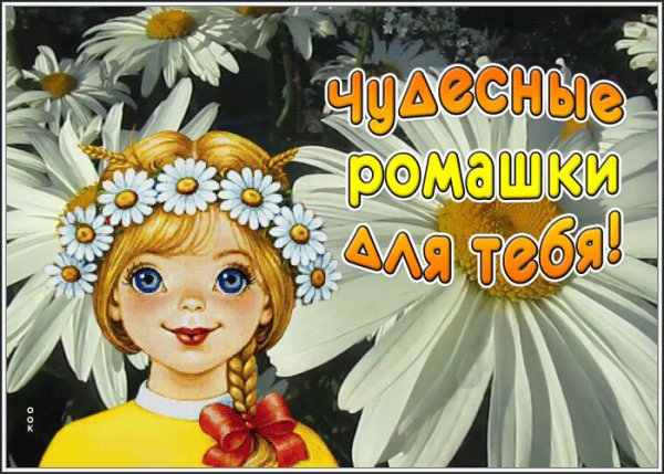 file_89981871
