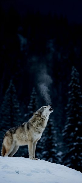 file_102234337