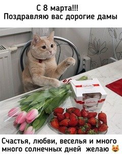 fc1e6158bdf483721c2f04af8cdc628e
