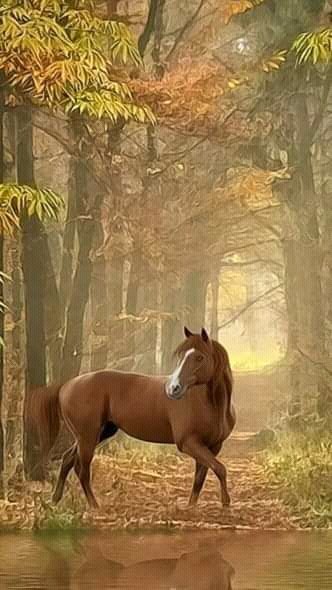 FB IMG 16393394058913947