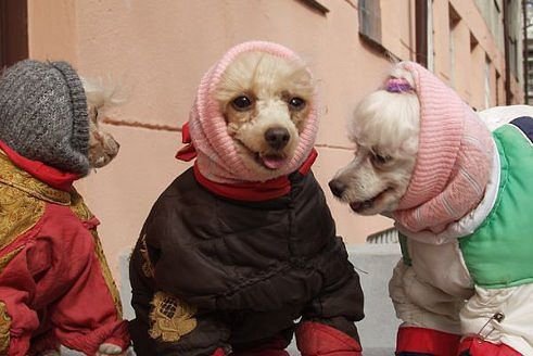 У подъезда