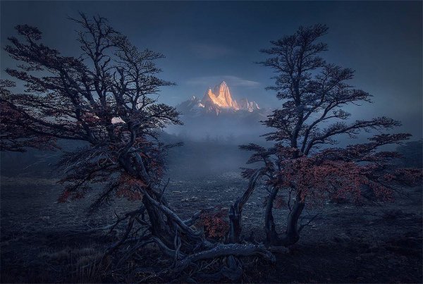 file_96568118