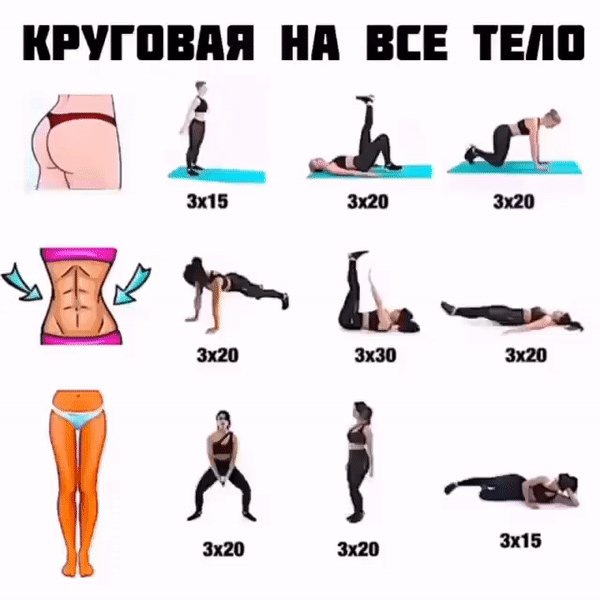 Круговая тренеровка