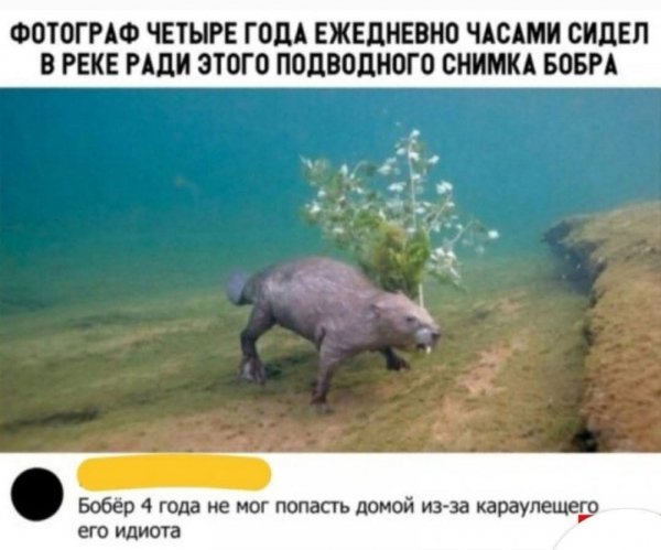 FB IMG 1776447012987