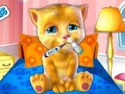 Ginger Flu Problems