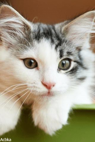 file_78649538