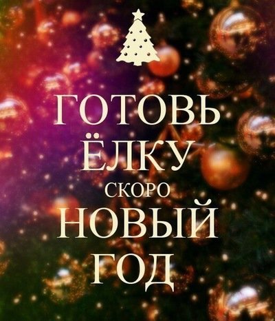 Готовь елку!