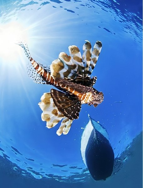 file_97507555