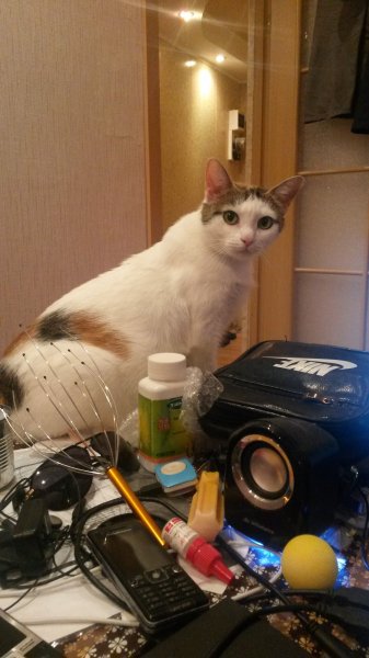 file_56516845
