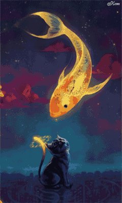 кошачьи сны