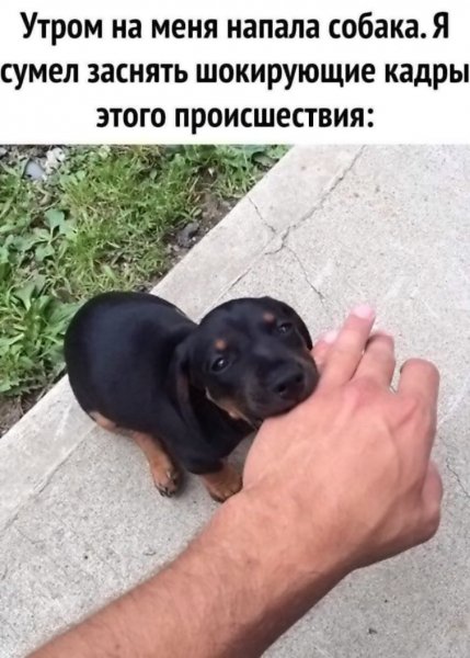 Нападение
