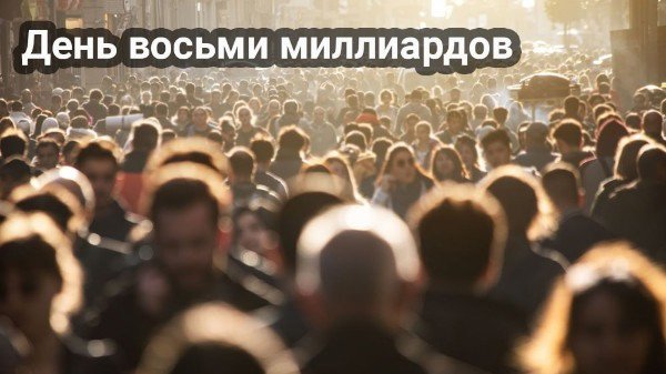 file_95068886