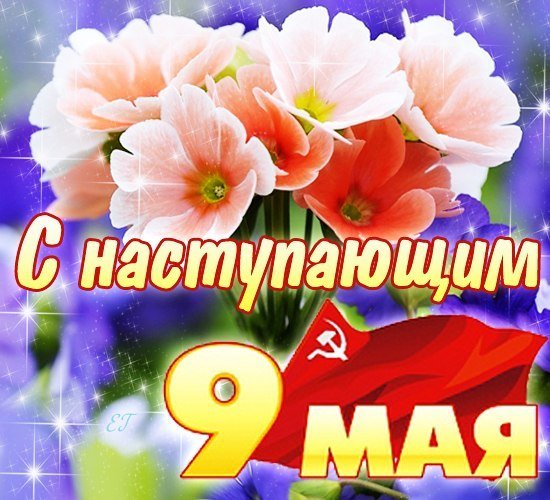 С Днём Победы (6)