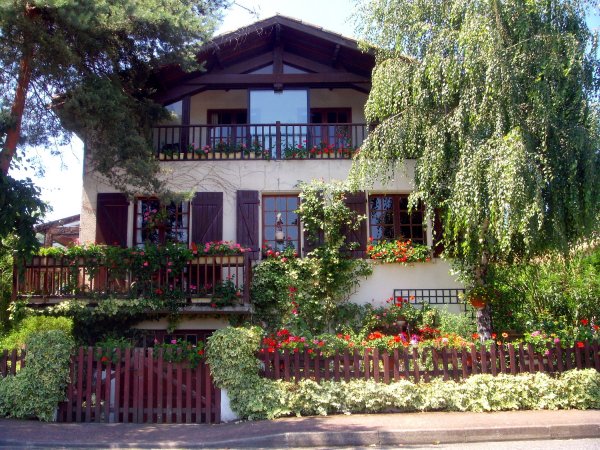 svetik