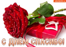 s-dnem-spasibo-tebe-pozdravlenie-51098-4521442