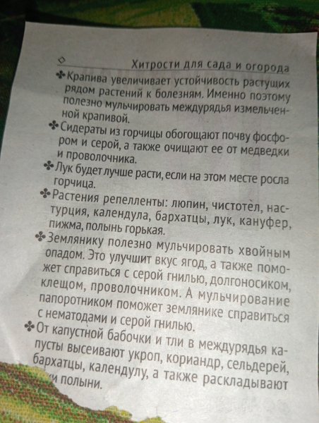 IMG20250331005558