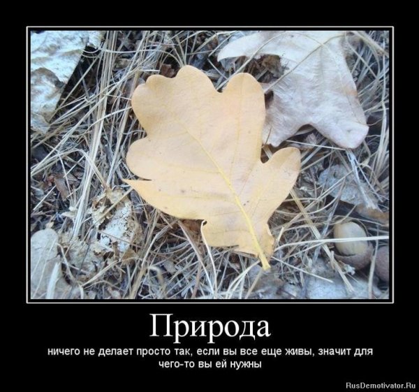 Природа...