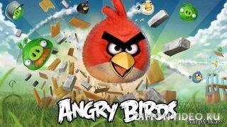 Angry Birds - v.1.6.0
