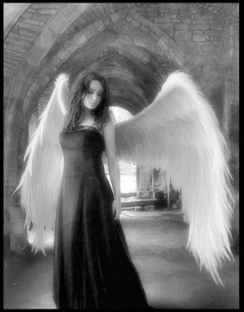 17-06-54-4ed6a016a6f76174a6a4e27b978f4110