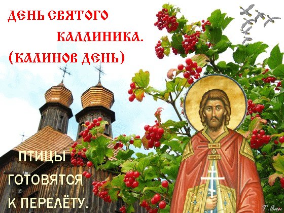 Анимированная открытка калинов день