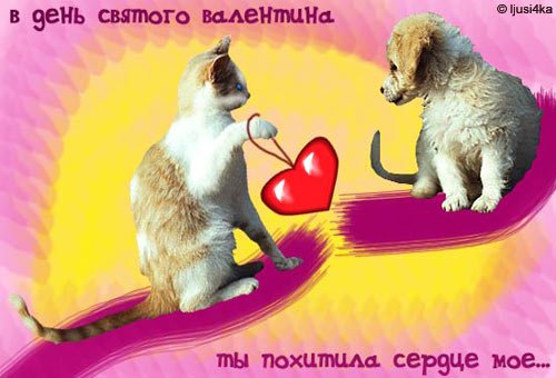 С Днем святого Валентина